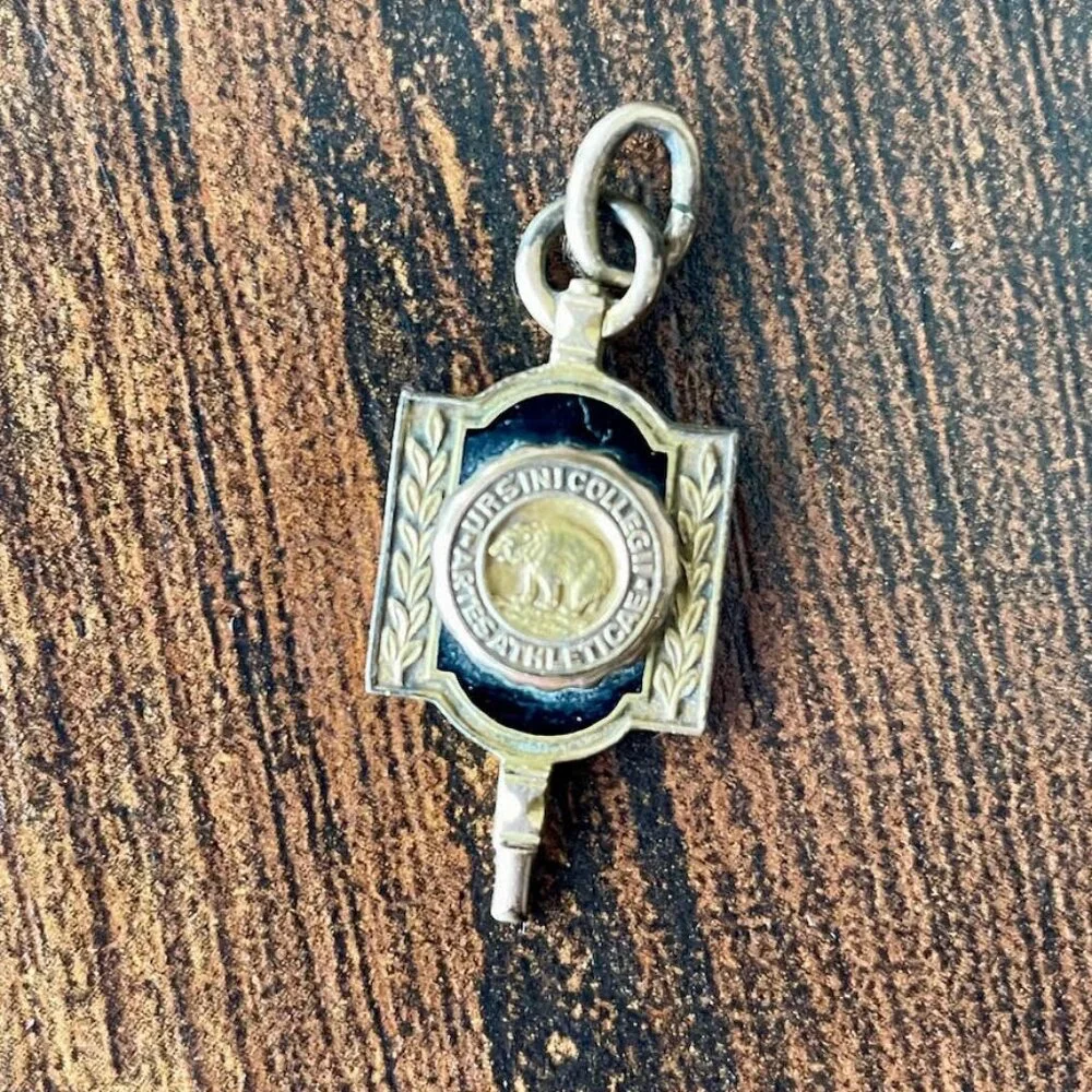 Vintage Pin Lot Ursinus College Red Cross DAR Enamel Pins - Picture 4 of 10